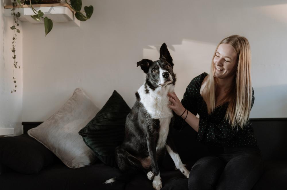 Gallery - Dog Sofa Cuddles - Heart Dog