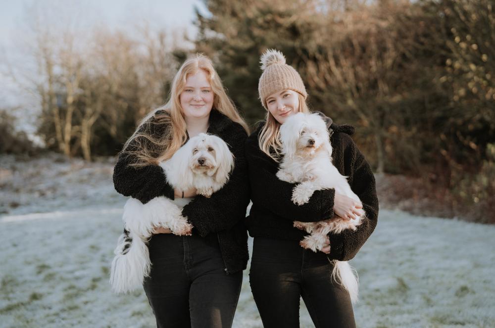 Gallery - Happy Heart Dog Members - Heart Dog